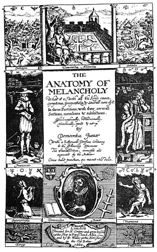 Burton anatomy