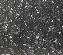 Bos--harvard-yale--smallT1 detail