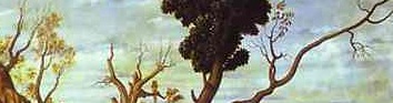 Unbearable tendons  carpaccio detail